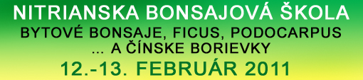 Nitrianska bonsajová škola