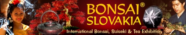 Bonsai Slovakia 2010 - 13. ročník medzinárodnej výstavy bonsajov, suiseki a čaju v Nitre