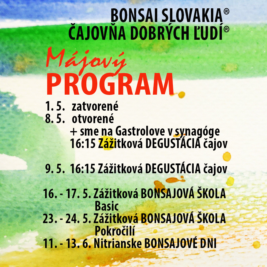 program