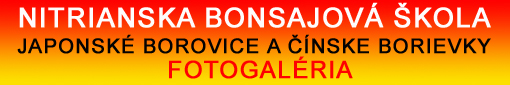 http://www.e-bonsai.eu/bonsajova-skola/foto-kurzy/