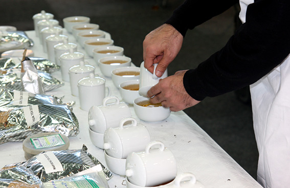 Tea & Coffee World Cup 2010 - Vienna - Darjeeling Tea