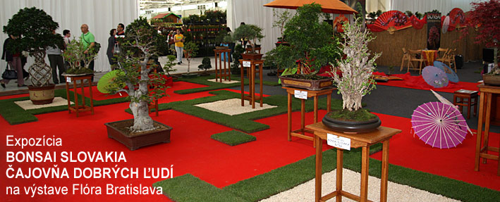 Flóra Bratislava - bonsai expozícia