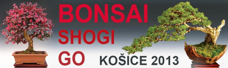 Košice 2013
