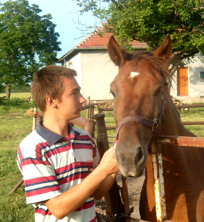 Resocializačné zariadenie Ľudovítov