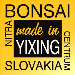 Made in Yixing, China - tea pots and bonsai pots