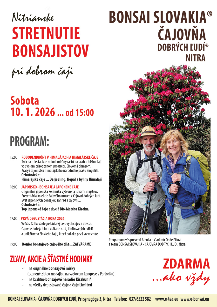 Stretnutie bonsajistov v Nitre