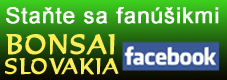 Bonsai Slovakia na Facebooku
