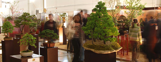 Oficiálne stránky výstavy Bonsai Slovakia: www.bonsai-slovakia.sk