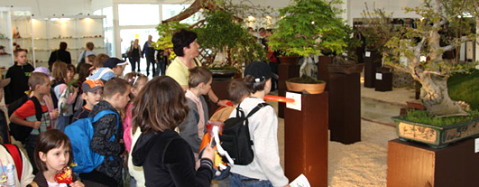 Oficiálne stránky výstavy Bonsai Slovakia: www.bonsai-slovakia.sk