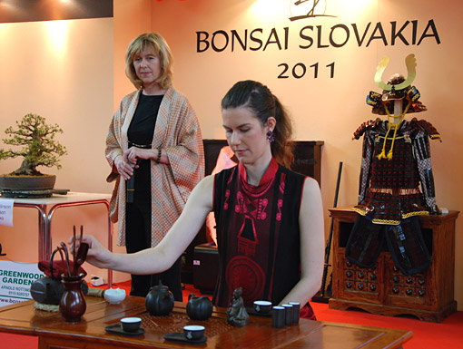 Bonsai Slovakia 2012