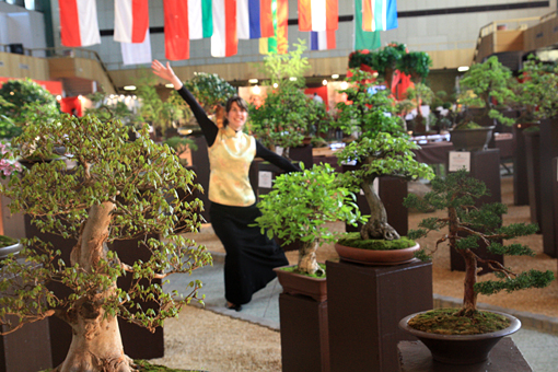 Bonsai Slovakia 2012