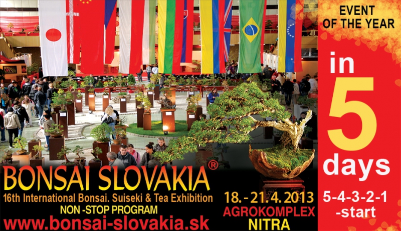 BONSAI SLOVAKIA 2013