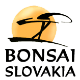 BONSAI SLOVAKIA 2014