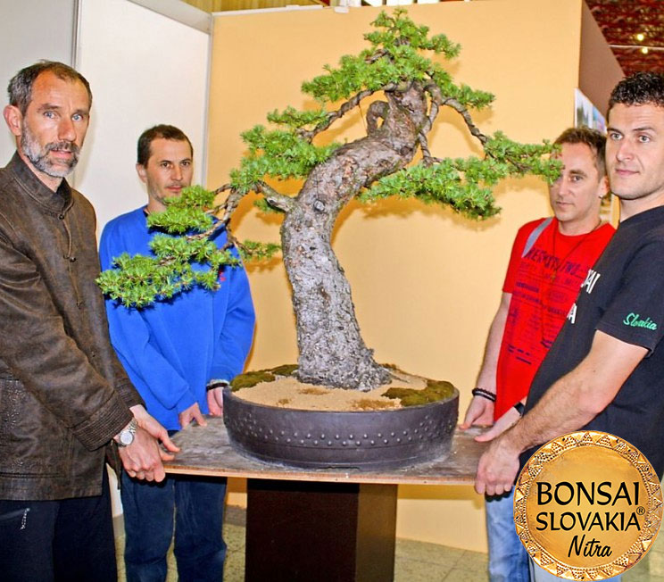 NAŠA BONSAI SLOVAKIA