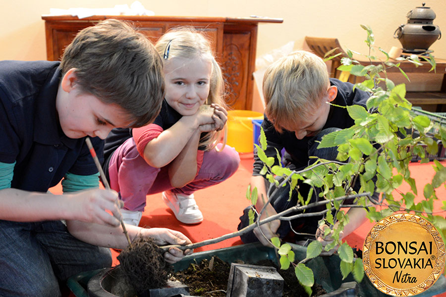 NAŠA BONSAI SLOVAKIA