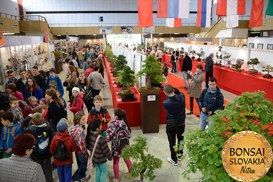 NAŠA BONSAI SLOVAKIA