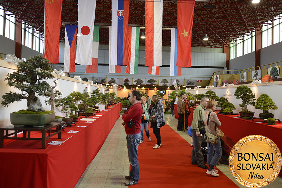 NAŠA BONSAI SLOVAKIA