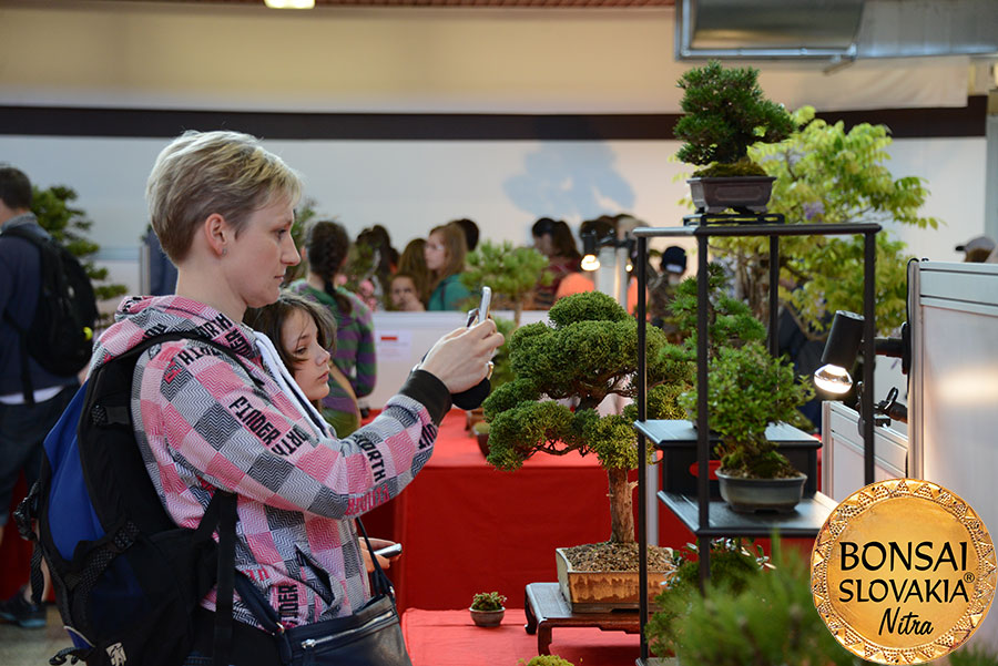 NAŠA BONSAI SLOVAKIA