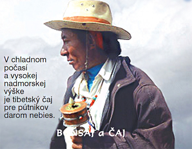 tibetský čaj