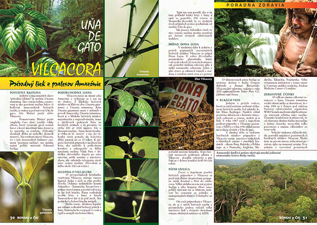 VILCACORA - UŇA DE GATO - Prírodný liek z pralesov Amazónie