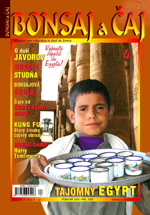 MAGAZÍN BONSAJ A ČAJ