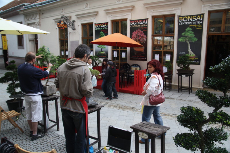Bonsai centrum Nitra, Čajovňa dobrých ľudí - Nitrianske bonsajové dni
