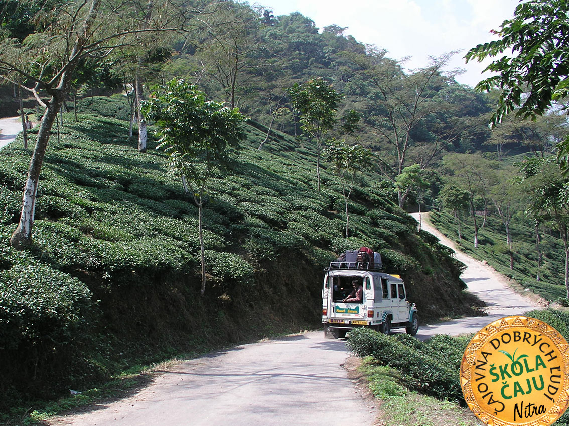 ČAJ - DARJEELING TEA