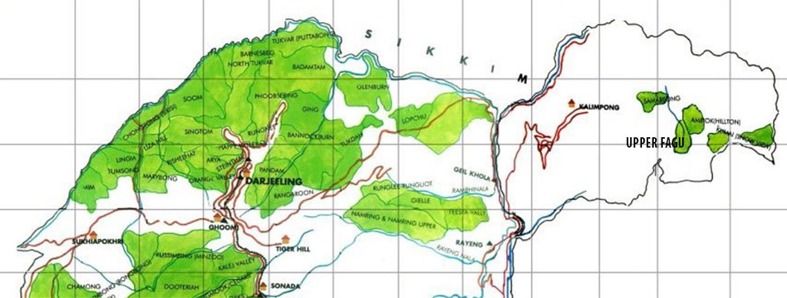 ČAJ DARJEELING TEA MAP