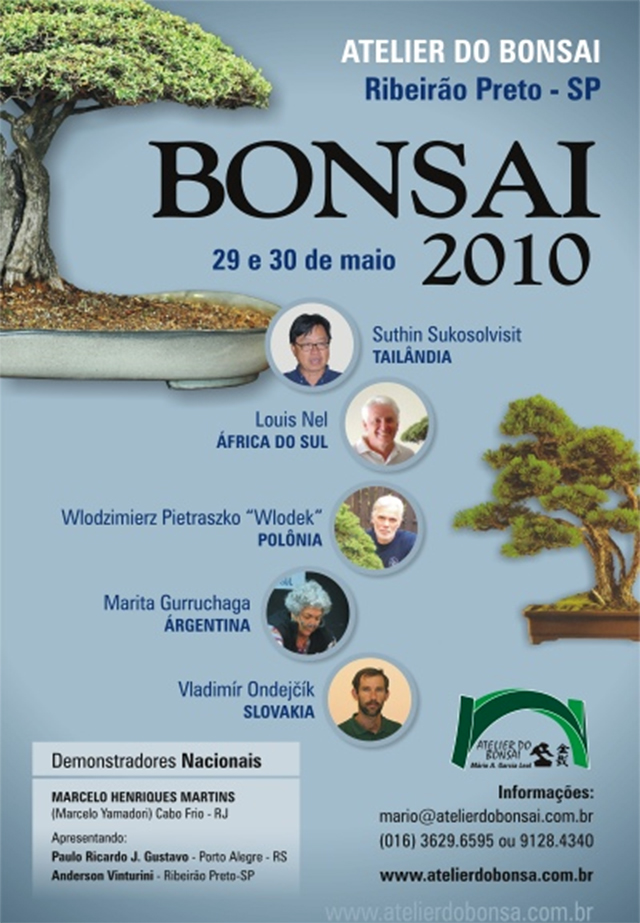 BONSAI BRAZÍLIA