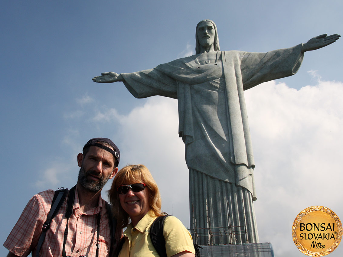 BRAZÍLIA - RIBEIRAO PRETO