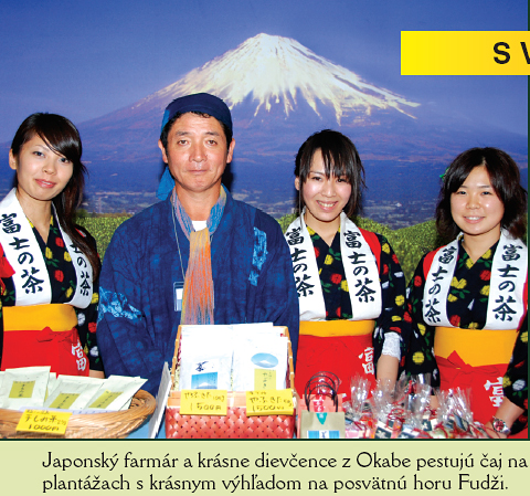 Shizuoka - O-cha festival - Japan a čaj