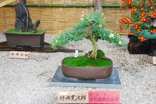 Korakuen Garden