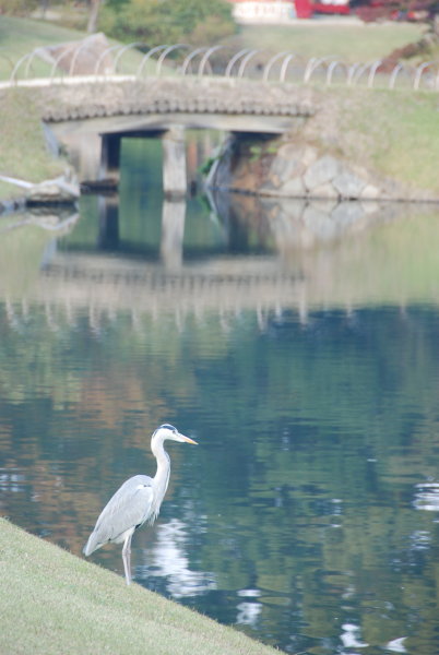 Korakuen Garden