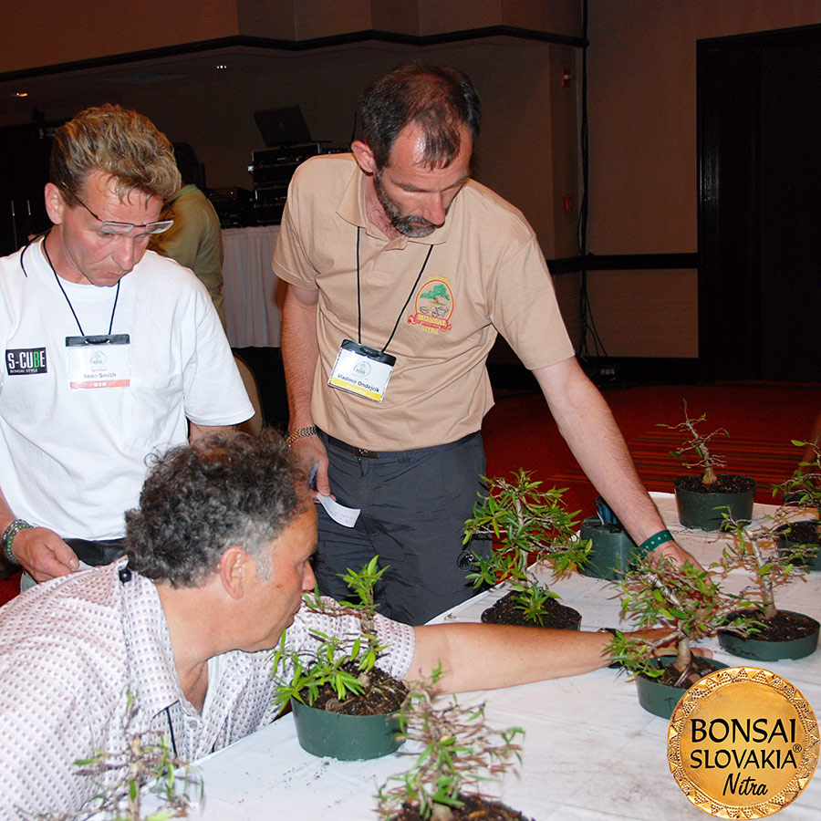 World Bonsai Convention Puerto Rico