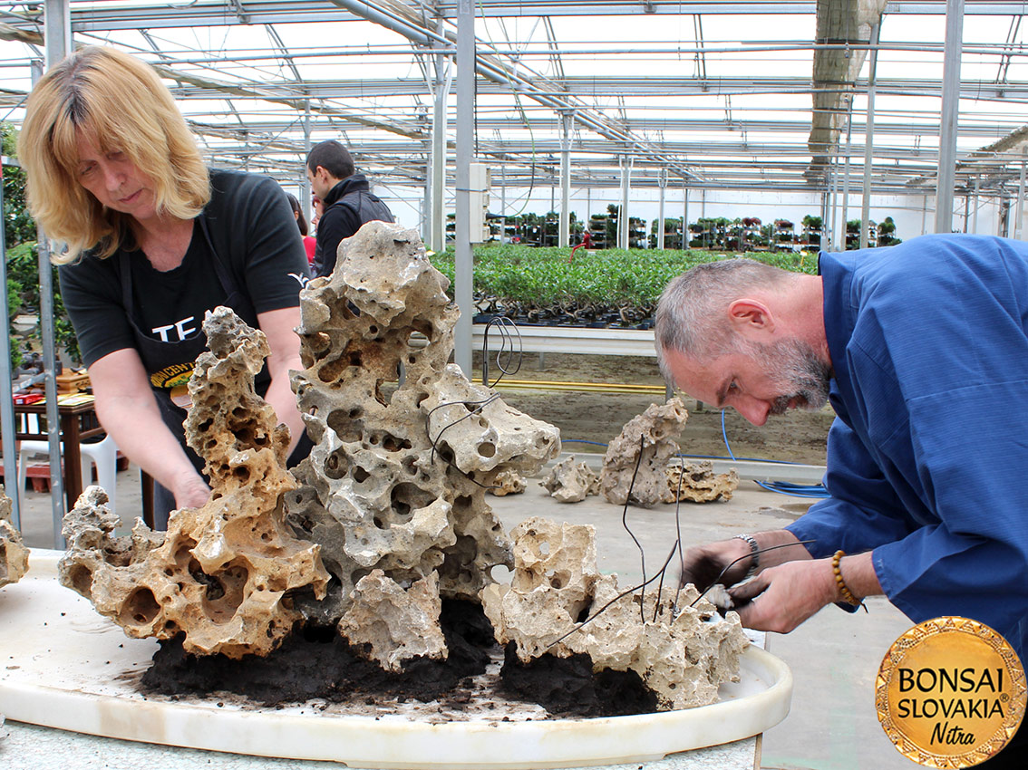 ŠPANIELSKO: MISTRAL BONSAI