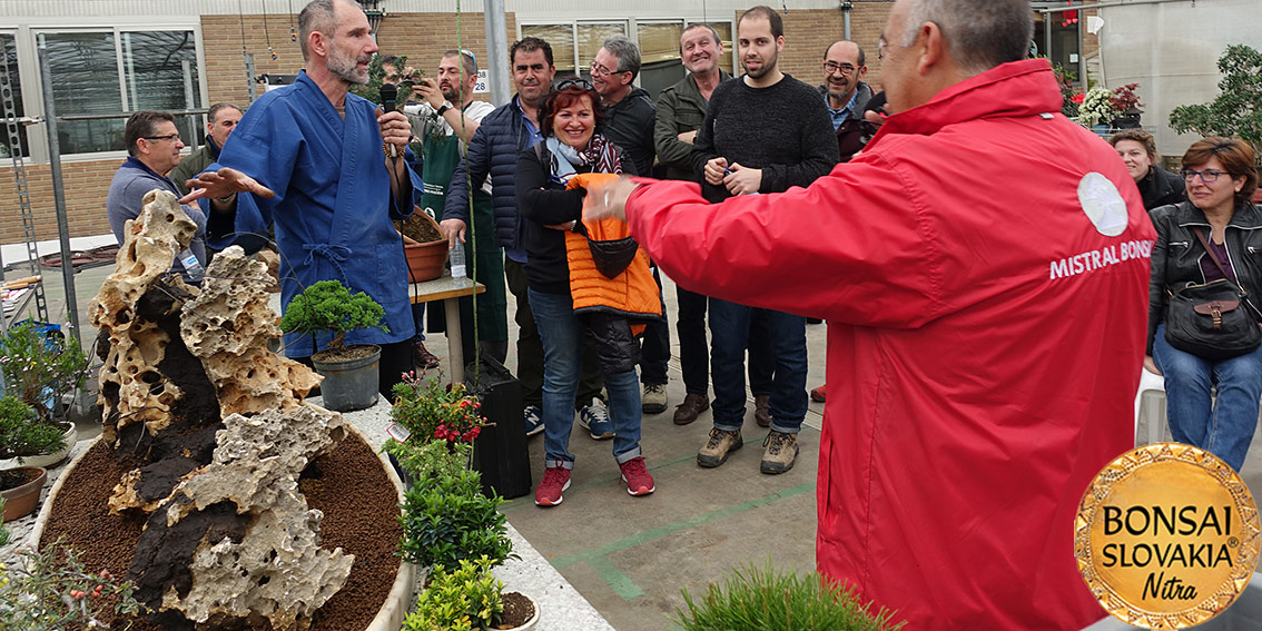 ŠPANIELSKO: MISTRAL BONSAI