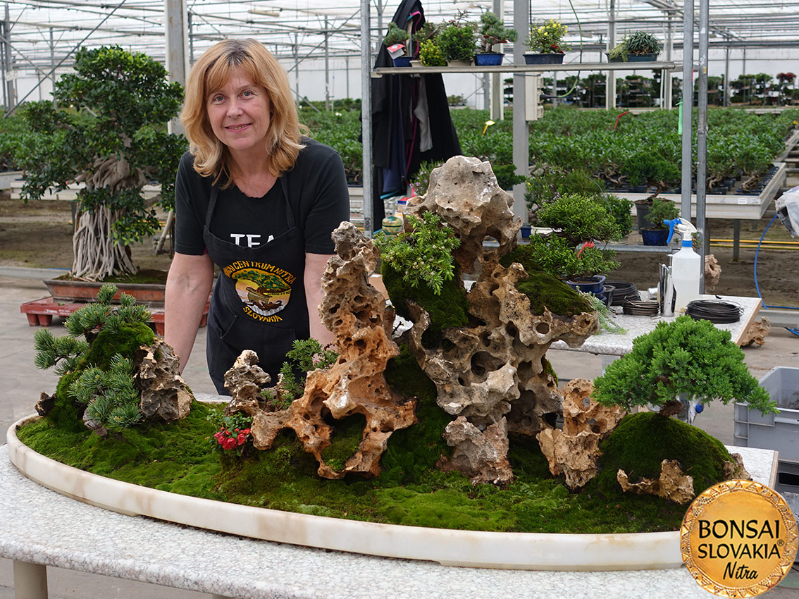 ŠPANIELSKO: MISTRAL BONSAI