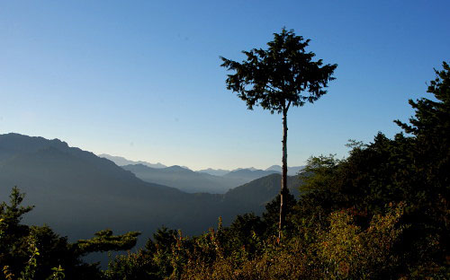 ALISHAN