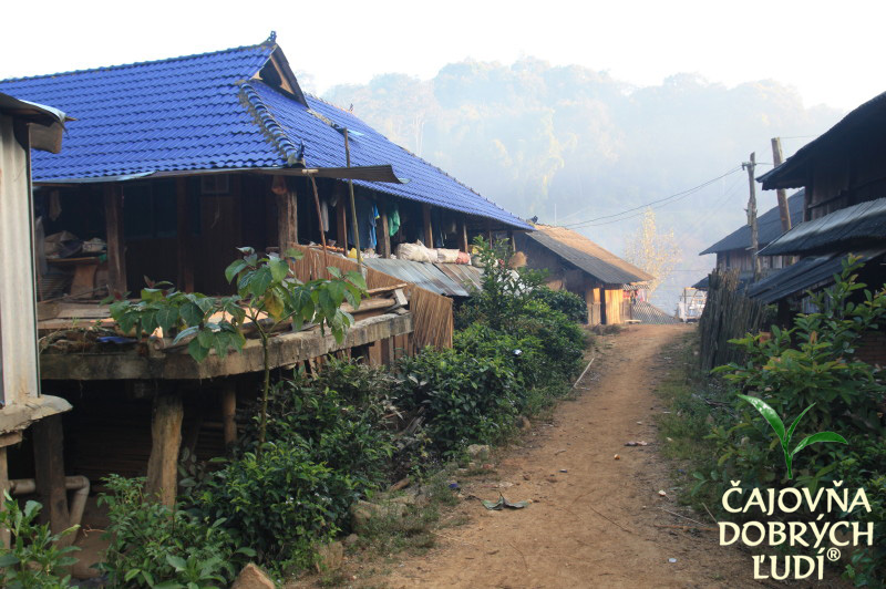 XISHUANGBANNA - KRÁĽA ČAJU - CHA SHU WANG