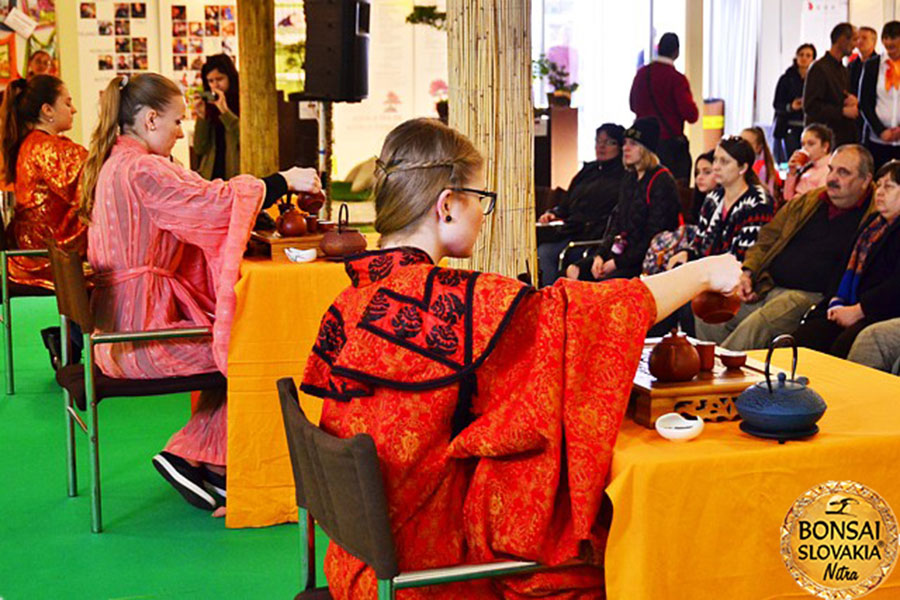 TEA-TENDER, EXHIBÍCIA NA MEDZINÁRODNEJ VÝSTAVE V NITRE