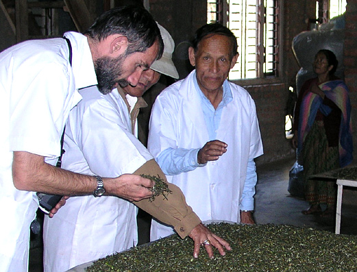 Tea Import to Slovakia