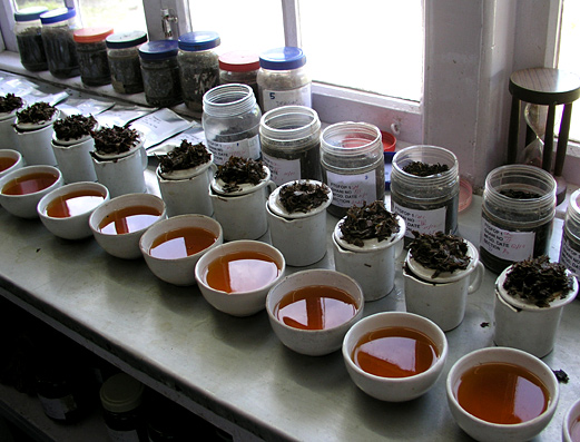 Tea Import to Slovakia