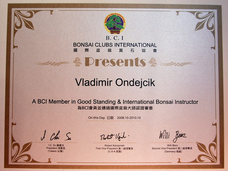 INTERNATIONAL BONSAI INSTRUCTOR