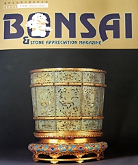 Bonsai & Stone Appreciation Magazine