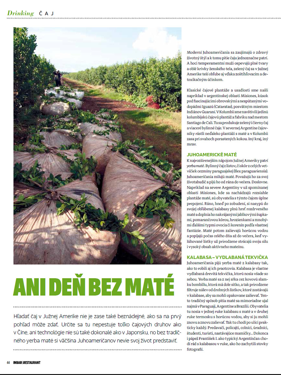 BAR MAGAZINE: Ani deň bez maté