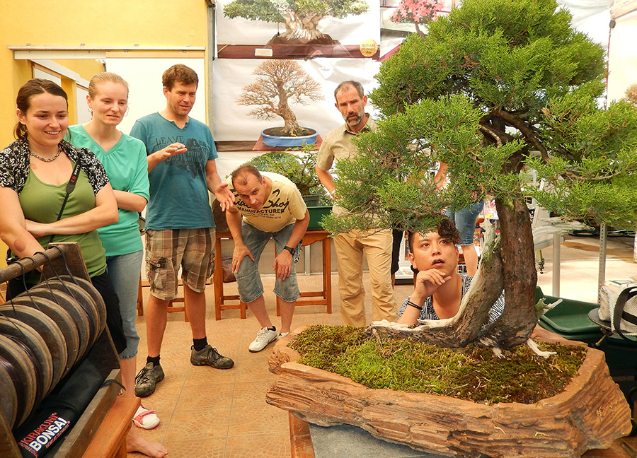 BONSAI: Masashi Hirao - samurai novej doby