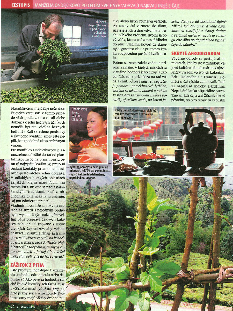 SLOVENKA: Zamilovaní do čaju