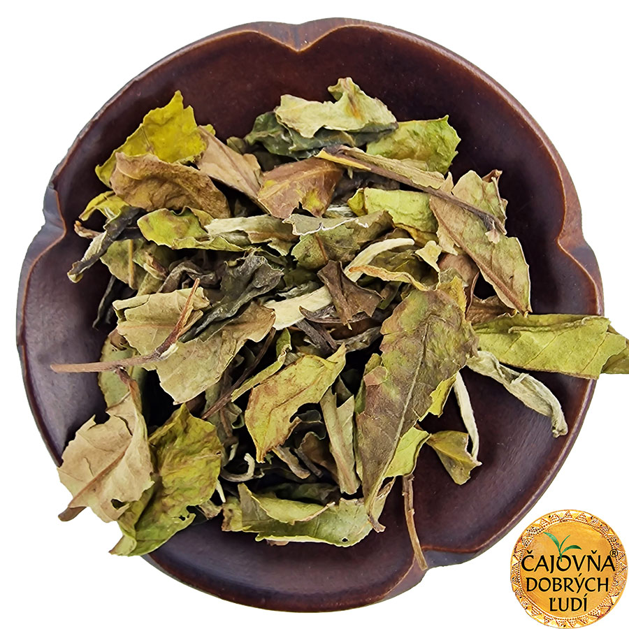 PAI-MU-TAN BELISSIMA 白牡丹 - BIELA PIVONKA