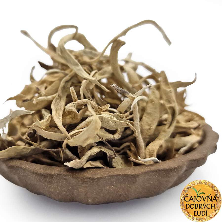 SNEŽNÝ ČAJ - TIBETSKÝ LIŠAJNÍK