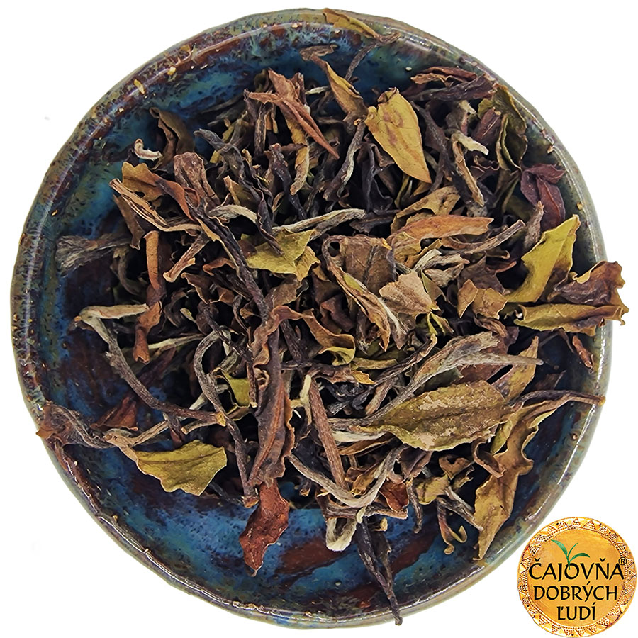 DARJEELING OKAYTI HIMALAYA OOLONG EXTRA 2026